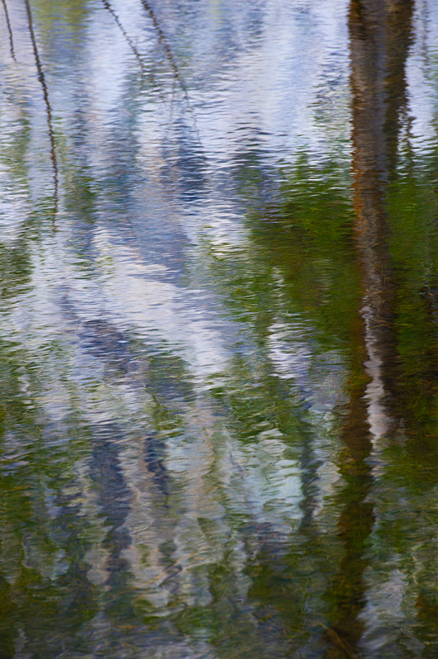 Painter Inspired Series - Monet
